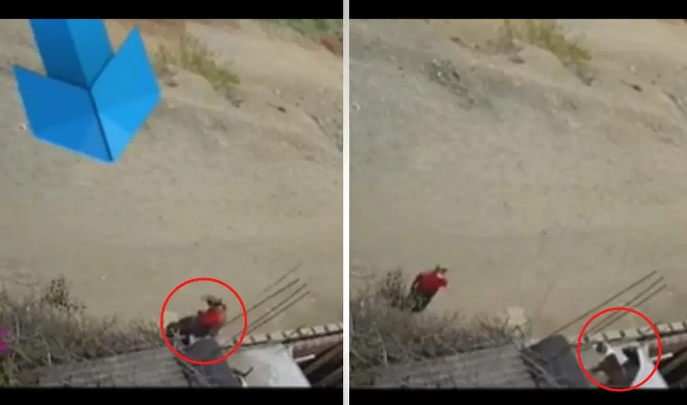 El clip de los valientes perros compartido por la usuaria @crystaq, logró obtener más de 84.000 reproducciones, y miles de 'me gusta' en la red. Foto: captura de TikTok El clip de los valientes perros compartido por la usuaria @crystaq, logró obtener más de 84.000 reproducciones, y miles de 'me gusta' en la red. Foto: captura de TikTok