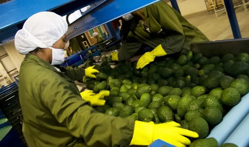 Para el 2025 se espera que la cifra supere los US$ 20.000 millones. Foto: Andina. Para el 2025 se espera que la cifra supere los US$ 20.000 millones. Foto: Andina.