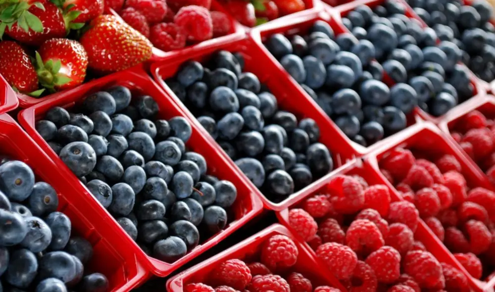 En el sector agropecuario, los envíos de arándanos lograron US$ 1.145 millones. Foto: Andina.