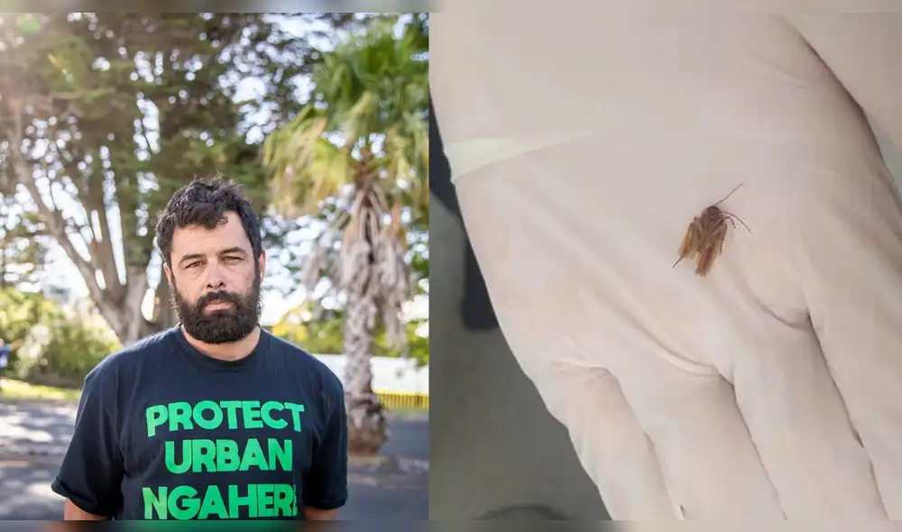 Fueron varios minutos los que se necesitaron para que la médico extraiga una parte de la cucaracha. Foto: Twitter / Zane Wedding