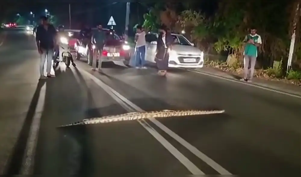 Video consiguió más de 39.225 visualizaciones. Foto: captura de YouTube