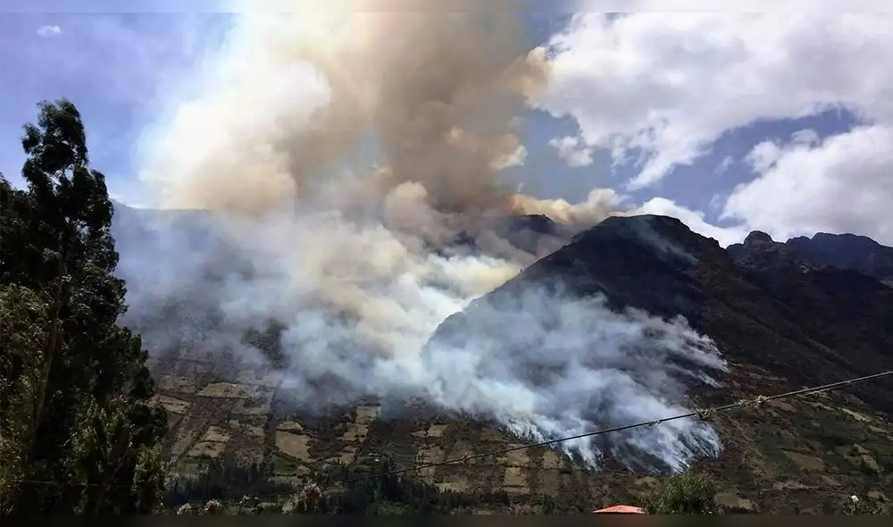 Sentenciado deberá pagar al Estado una reparación civil de S/ 10.000. Foto: Ministerio Público Cusco