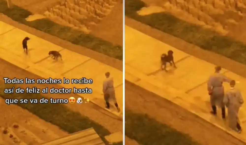 La emotiva escena compartida en redes logró obtener más de 118.000 reproducciones y miles de 'me gusta' en poco tiempo. Foto: captura de TikTok La emotiva escena compartida en redes logró obtener más de 118.000 reproducciones y miles de 'me gusta' en poco tiempo. Foto: captura de TikTok