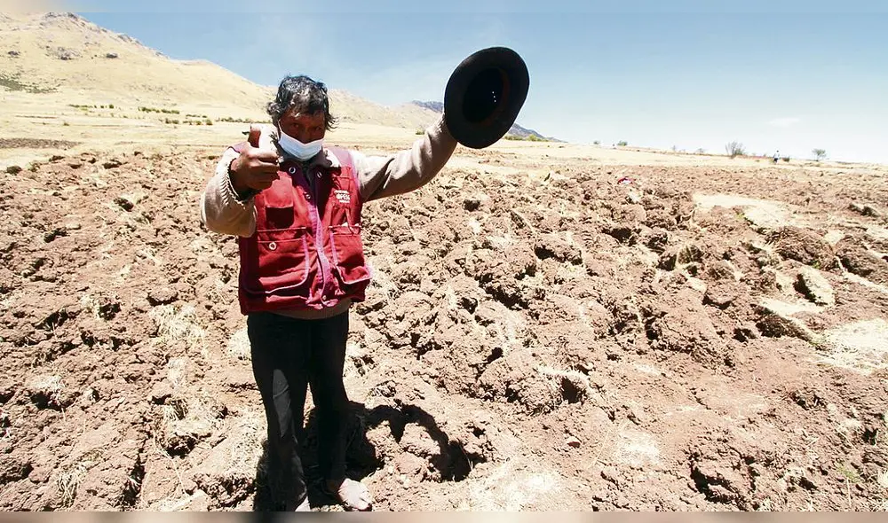 Retraso. Reforma agraria lanzada hace 3 meses aún no tendría resultados, según regantes. Retraso. Reforma agraria lanzada hace 3 meses aún no tendría resultados, según regantes.