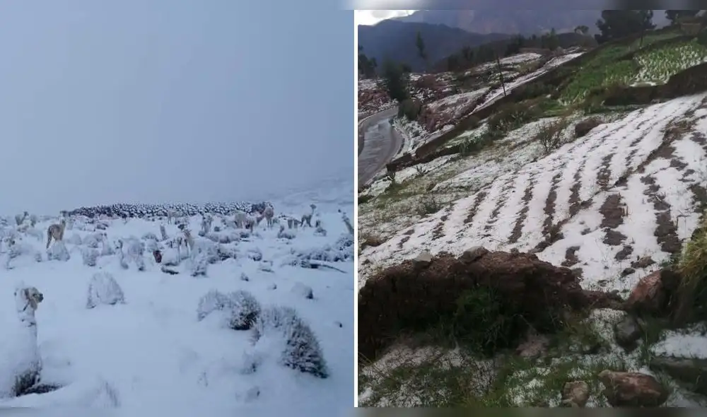 De igual manera, las calles de la provincia quedaron cubiertas de nieve. Foto: Composición La República / Viviana Carrasco De igual manera, las calles de la provincia quedaron cubiertas de nieve. Foto: Composición La República / Viviana Carrasco