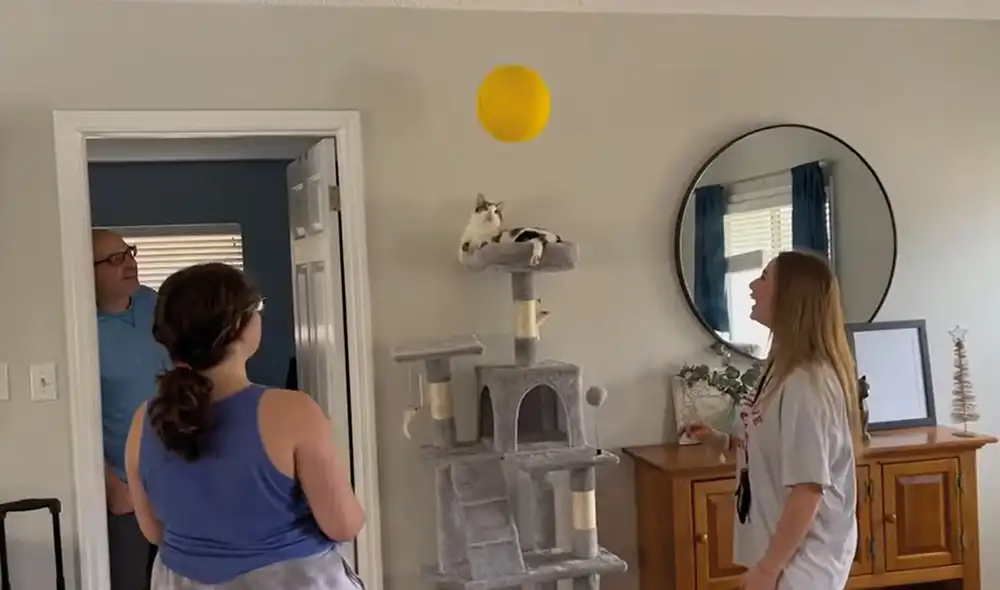 Los protagonistas se mostraron alegres mientras jugaban con el globo. Foto: captura de YouTube