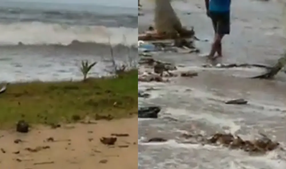 Las grandes olas golpearon casas y edificios en primera línea de la costa de Tonga. Foto: capura video/AFP