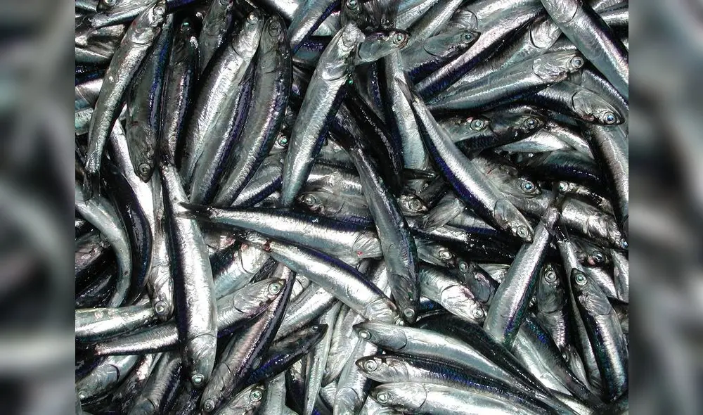 Las condiciones que vamos a ver en el futuro no se han visto en el pasado reciente ni a escalas de
décadas...”.