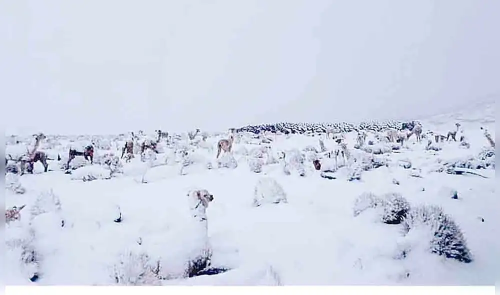 Granizada en sierra de Tacna. Granizada en sierra de Tacna.