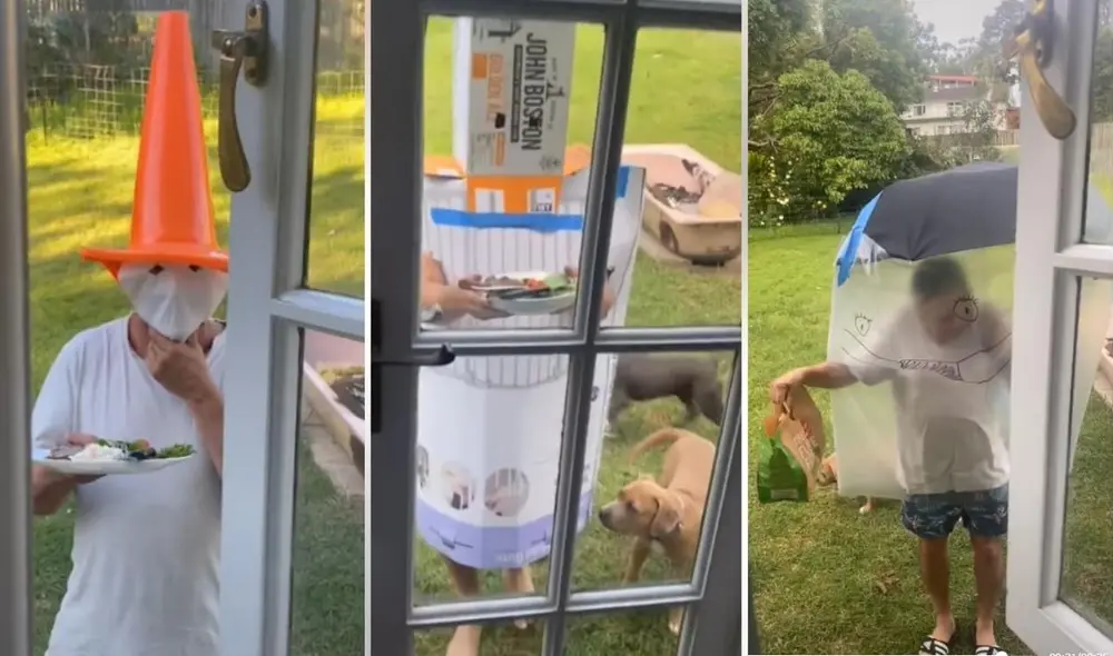 Las escenas compartidas por la usuaria @mollybiiirdd1, logró conmover a los usuarios, quienes pidieron más publicaciones de las ocurrencias de sus padres. Foto: captura de TikTok