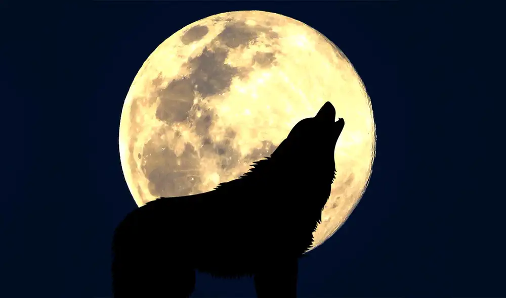 Este año contará con más lunas llenas y cada una cuenta con un diferente nombre. Foto: Composición LR/ Unsplash Este año contará con más lunas llenas y cada una cuenta con un diferente nombre. Foto: Composición LR/ Unsplash