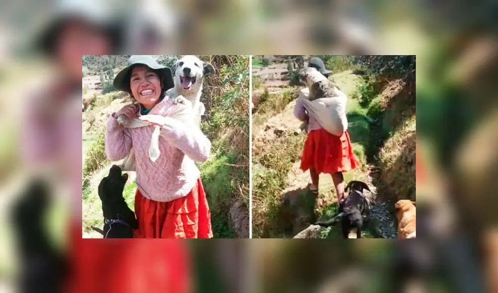 La escena conmovió a miles de usuarios de redes sociales. Foto: captura de TikTok