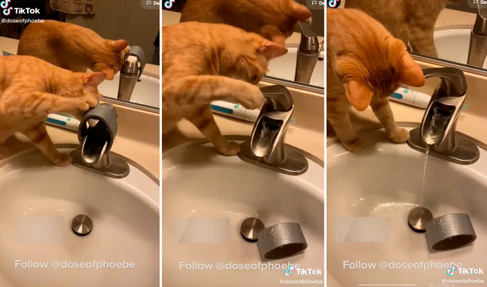 El gato no dudó en sacar el precinto de seguridad del grifo del lavamanos para contemplar cómo caían los chorros de agua. Foto: captura de TikTok