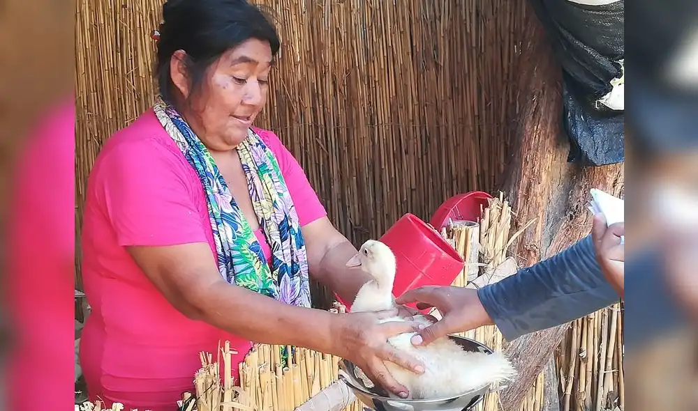 Las mujeres tendrán ingresos económicos con la vente de aves. Foto: Choice