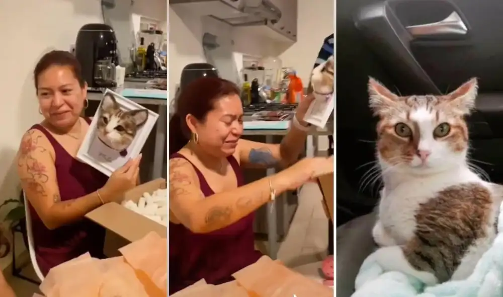 Los cibernautas en las redes se mostraron interesados por adquirir un recuerdo de sus mascotas como el mostrado en la escena. Foto: captura de TikTok