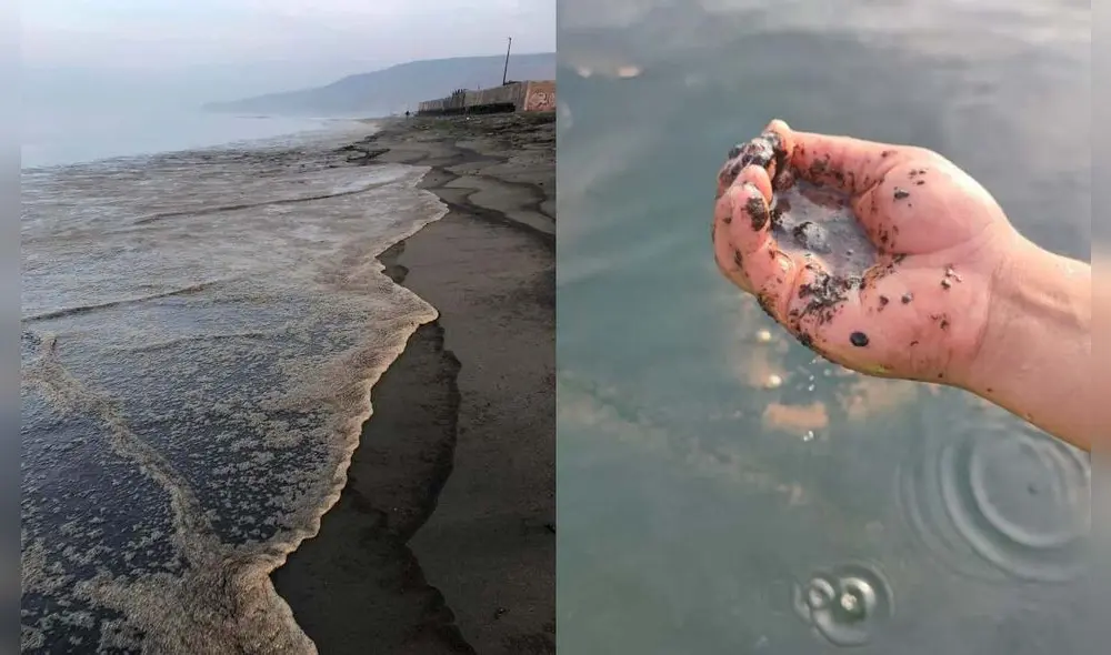 Equipos realizan limpieza ambiental. Foto: Municipalidad de Ancón