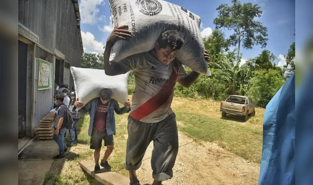 Cerca de 279 agricultores forman parte de Coopaser. Foto: Goremad Cerca de 279 agricultores forman parte de Coopaser. Foto: Goremad