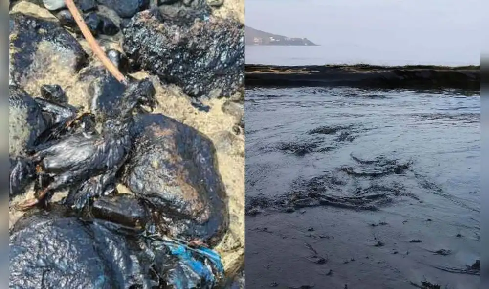 Daño a la biodiversidad. Más de 18.000 m2 de las playas afectadas. Foto: Oceana Perú