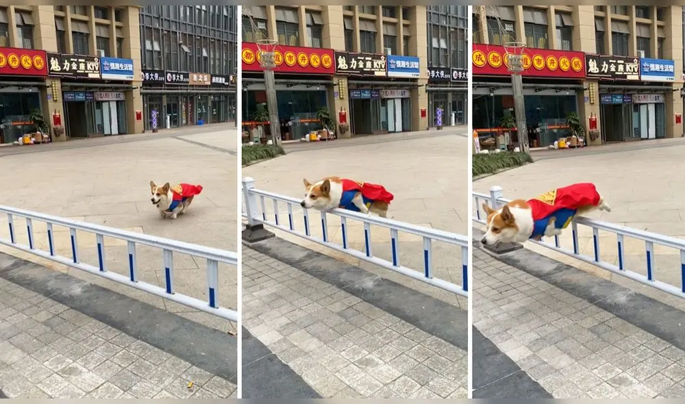 “¡Parece que vuela por un instante!“, comentó un internauta. Foto: captura de Facebook