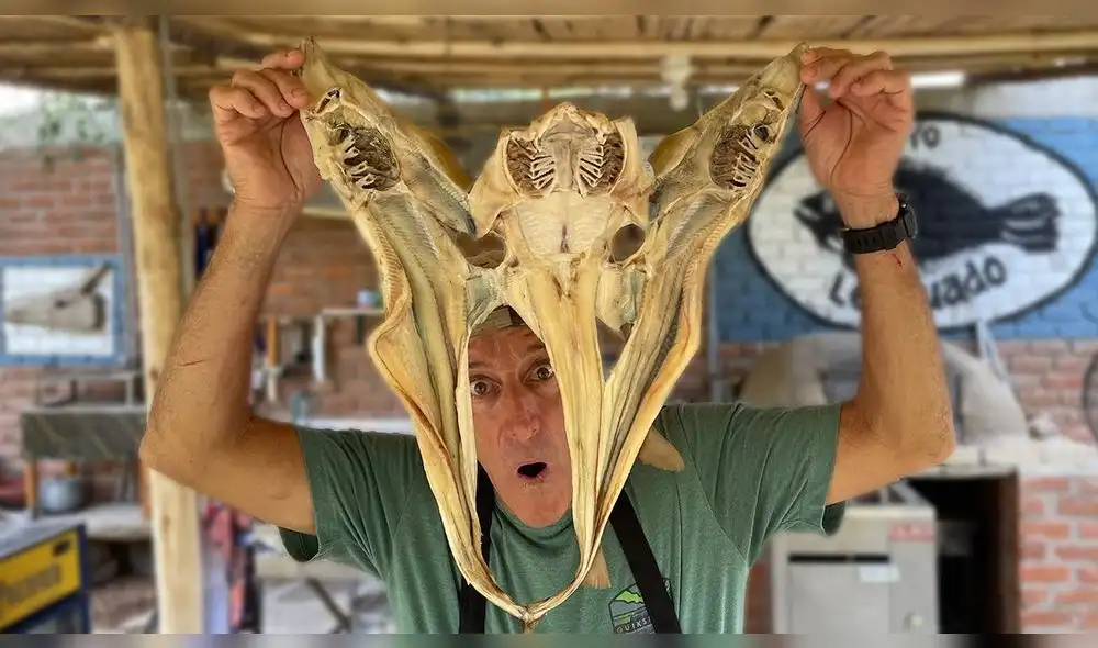 El video acumula cerca de 80.000 reproducciones en redes sociales. Foto: captura de YouTube