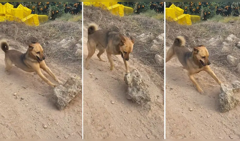 La escena obtuvo más de 2 millones de reproducciones. Foto: captura de Facebook