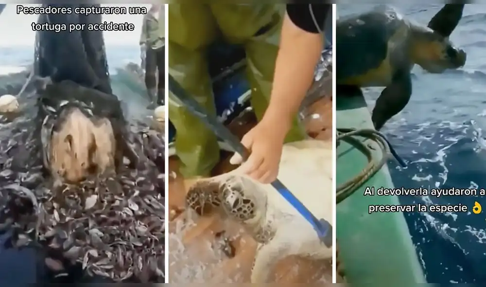 Video consiguió más de seis millones de visualizaciones. Foto: captura de TikTok Video consiguió más de seis millones de visualizaciones. Foto: captura de TikTok