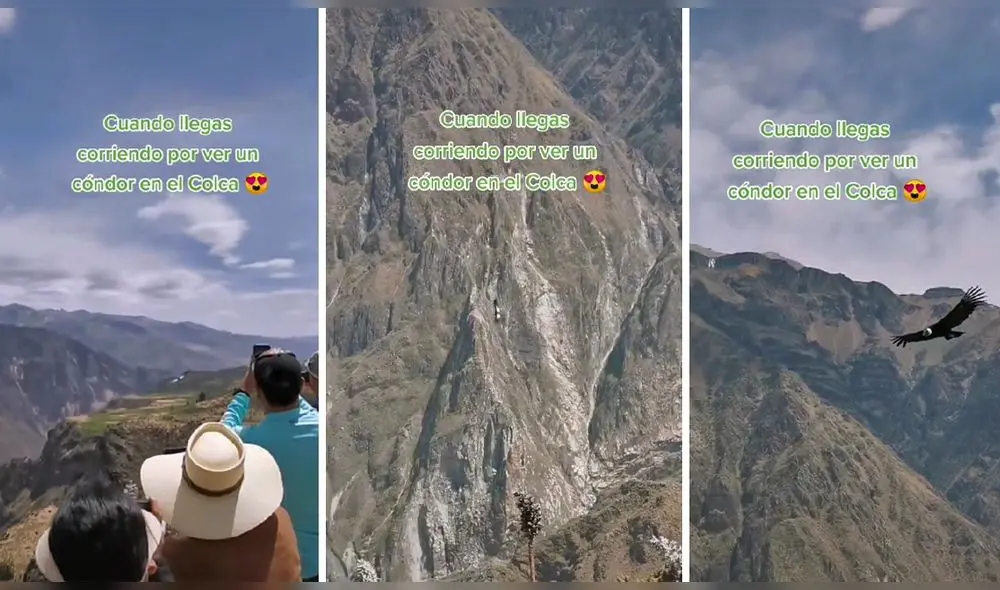 Video consiguió más de 221.200 reproducciones en TikTok. Foto: captura de TikTok