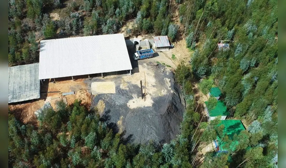 Mineros ilegales operan en bosque que se ha convertido en un extenso follaje a fin de esconder las labores mineras en las que se extrae mineral de forma ilícita. Foto: PNP