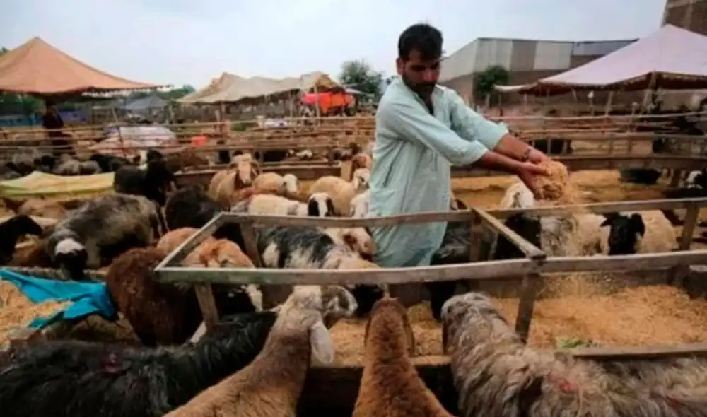 Chalapathi fue detenido de manera inmediata por las autoridades y se espera que en breve se dé a conocer cuál será el castigo que recibirá por la muerte del joven. Foto: Clarín
