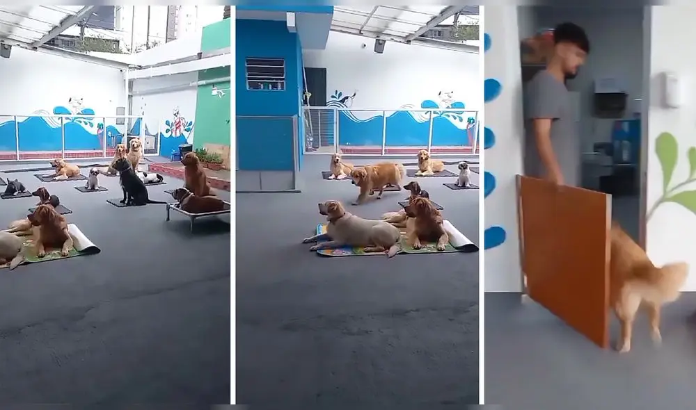 Video consiguió más de 63.000 reproducciones en Facebook. Foto: captura de Facebook