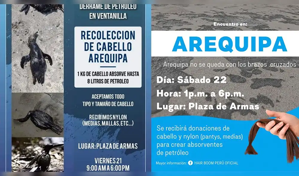 Por derrame de petróleo, en Arequipa las donaciones se acopiarán en la plaza de Armas este viernes 21 de enero. Foto: composición LR/Hair Boom Peru Oficial Por derrame de petróleo, en Arequipa las donaciones se acopiarán en la plaza de Armas este viernes 21 de enero. Foto: composición LR/Hair Boom Peru Oficial