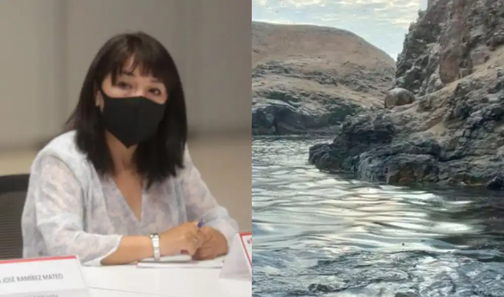 La ministra dio a conocer la fecha límite que tiene Repsol para la limpieza de las zonas afectadas. Foto: @Anibal_P_M / Presidencia