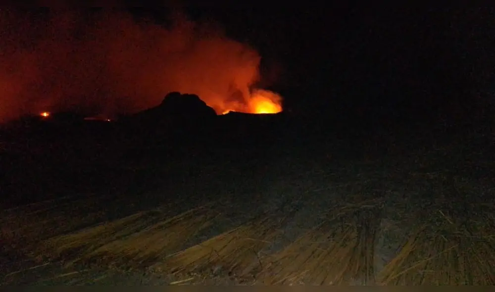 Una parte de los totorales fue consumida por el fuego. Foto: MDH Una parte de los totorales fue consumida por el fuego. Foto: MDH
