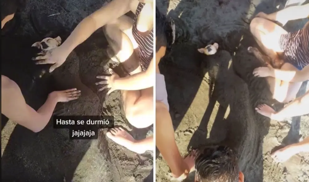 Miles de usuarios en las redes sociales han quedado cautivados al ver esta escena. Foto: captura de TikTok