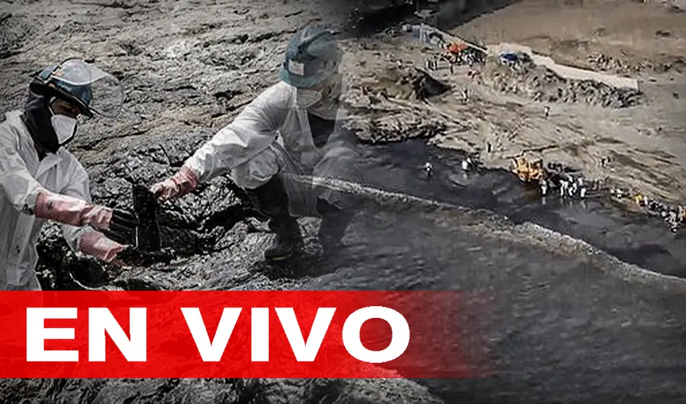 Derrame de petróleo ocasionado por Repsol afectó a la biodiversidad marina y terrestre en playas de Ventanilla, Santa Rosa y Ancón. Foto: composición/La República