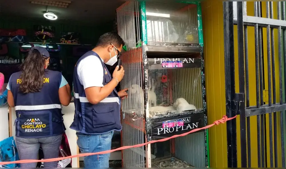 Autoridades comprobaron que mascotas conviven en espacios reducidos. Foto: MPCh Autoridades comprobaron que mascotas conviven en espacios reducidos. Foto: MPCh