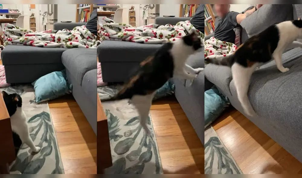 Esto ocurrió en un hogar ubicado en Somerville, Massachusetts, USA. Foto: captura de YouTube