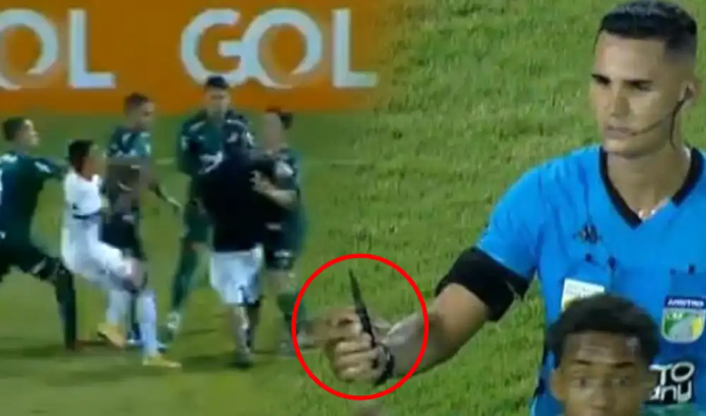 Sao Paulo vs. Palmeiras terminó en incidente con un hincha. Foto: captura Sao Paulo vs. Palmeiras terminó en incidente con un hincha. Foto: captura