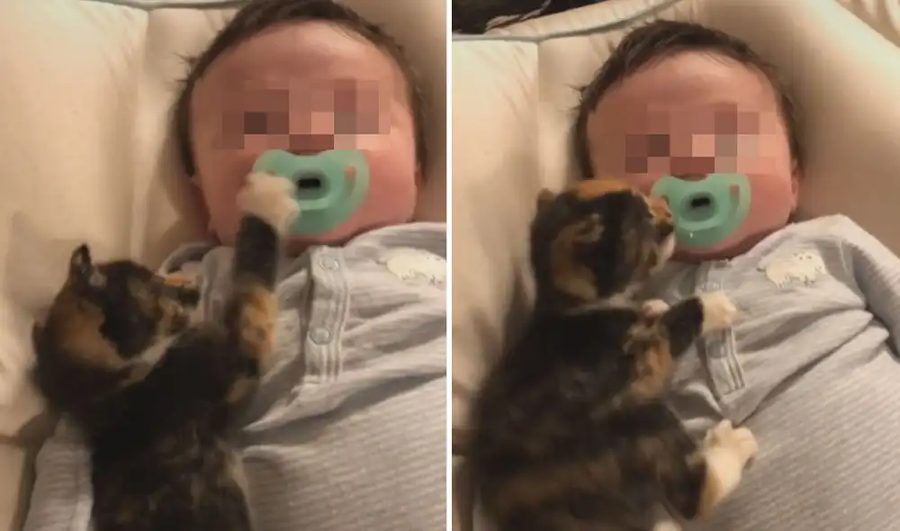 El minino no tardó en encariñarse con el bebé de sus dueños y formaron una tierna amistad. Foto: captura de TikTok