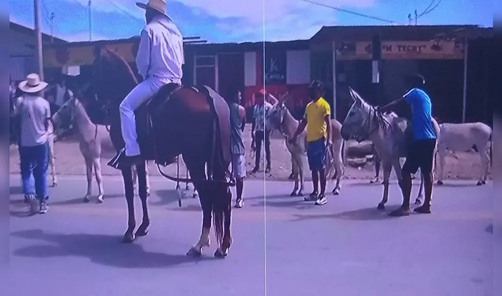 Burros participaron en el 78 aniversario del distrito de Buenos Aires. Foto: difusión