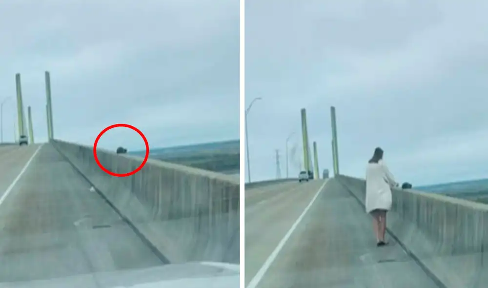 Una mujer detuvo su vehículo en medio de la carretera al percatarse que un indefenso animal estaba en peligro. Foto: captura de YouTube