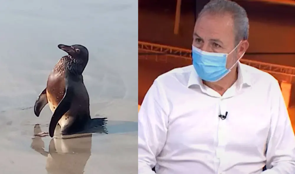 Presidente de Repsol respondió cuestionamientos y aseguró que la empresa se hace responsable del desastre ecológico en el litoral peruano. Foto: Latina