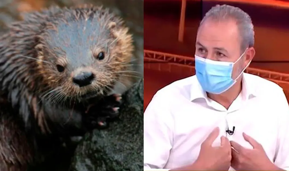 El representante de Repsol insistió en culpar al oleaje anómalo por derrame de petróleo del 15 de enero. Foto: captura de Latina