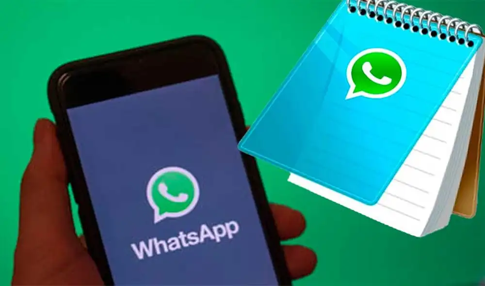 Asegúrate de tener la última versión de WhatsApp en tu teléfono Android o iOS. Foto: DanricTec