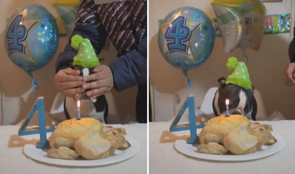 Las imágenes dejaron cautivados a miles de usuarios en las redes sociales. Foto: captura de TikTok