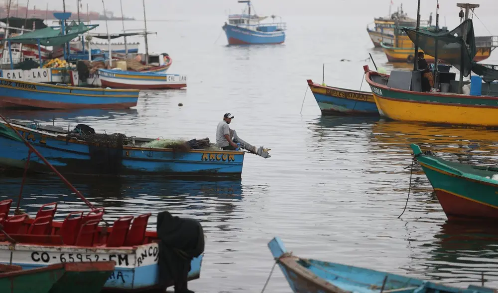 También se entregarán entregarán canastas de alimentos a todos los afectados. Foto: Andina. También se entregarán entregarán canastas de alimentos a todos los afectados. Foto: Andina.
