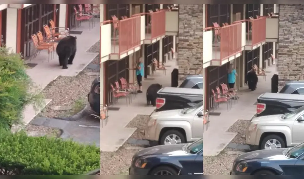 Esto ocurrió en la playa de estacionamiento de Gatlinburg, Tennessee, USA. Foto: captura de YouTube