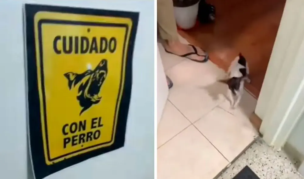 Un joven le abrió a su vecino para que vea cómo era en realidad su querida mascota; sin embargo, se llevó una tremenda sorpresa. Foto: captura de Facebook