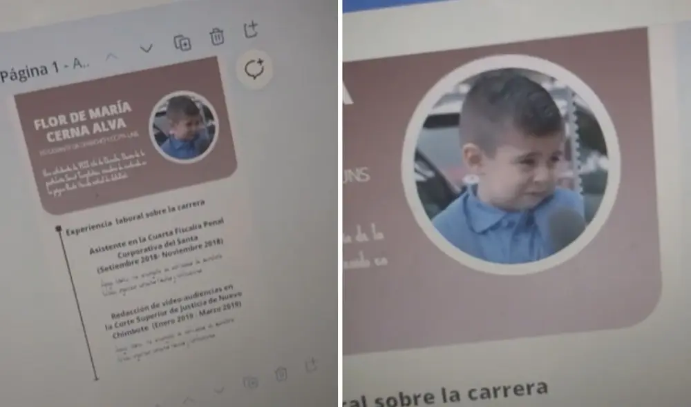 Esta historia ha hecho reír a miles de usuarios en las redes sociales. Foto: captura de TikTok
