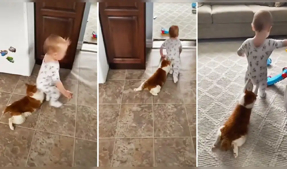 Video cuenta con más de tres millones de visualizaciones. Foto: captura de TikTok Video cuenta con más de tres millones de visualizaciones. Foto: captura de TikTok